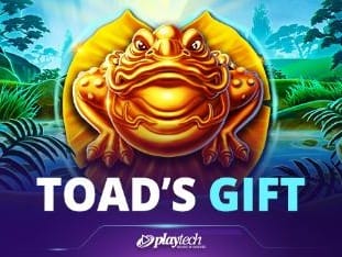 Toads Gift thumbnail